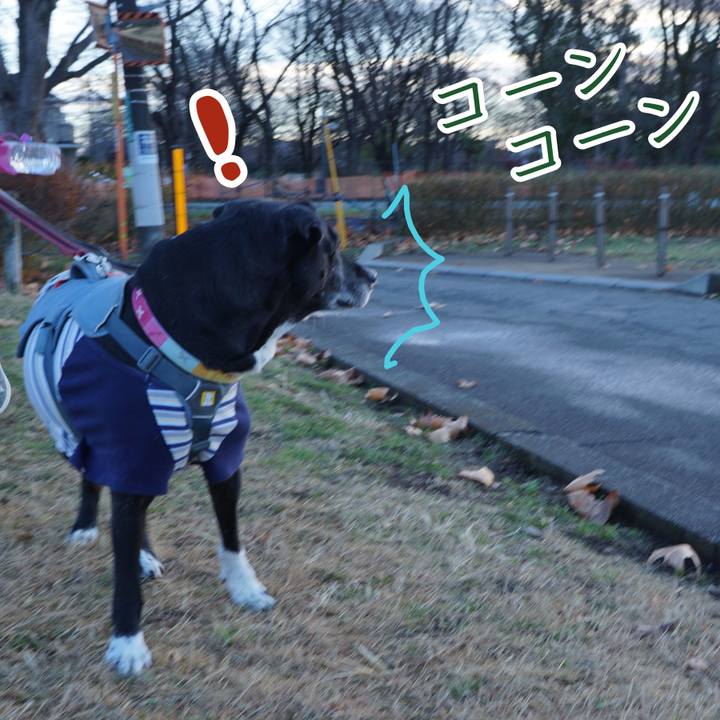 Ef419a27 7d21 44cf 937a 5b3dccf7d63c 1766711191965