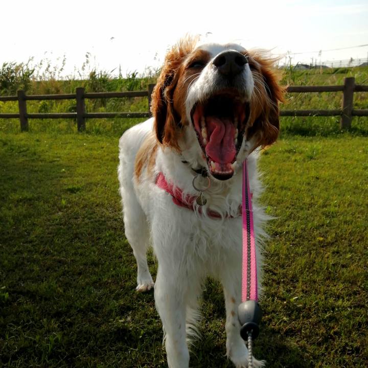 Ef41b19b 45f6 4589 a36b 0a7bf6c9e21d 1621940838890