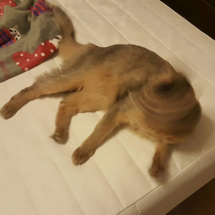 Ef41e1be 0ee3 40d7 abc2 92c0643e1a44 1538488897510