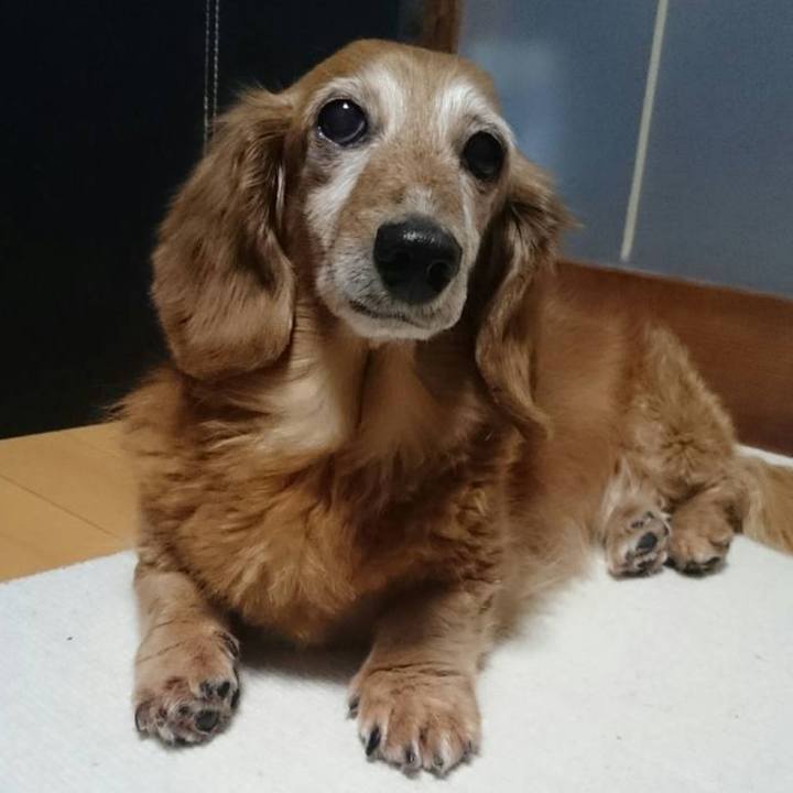 Ef41e7f8 63c4 4113 927f c5ebcaea3426 1768323753083