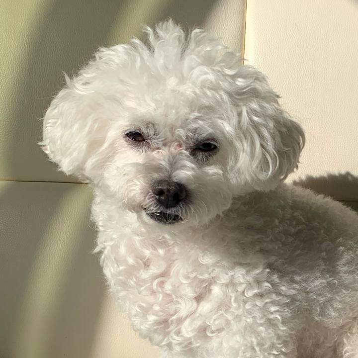 Ef41ee82 290d 4aff 97ac 77d2408e5886 1665632626648