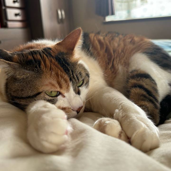 Ef4212cf de73 42f5 81b3 bb2c79d57d3a 1713661625555