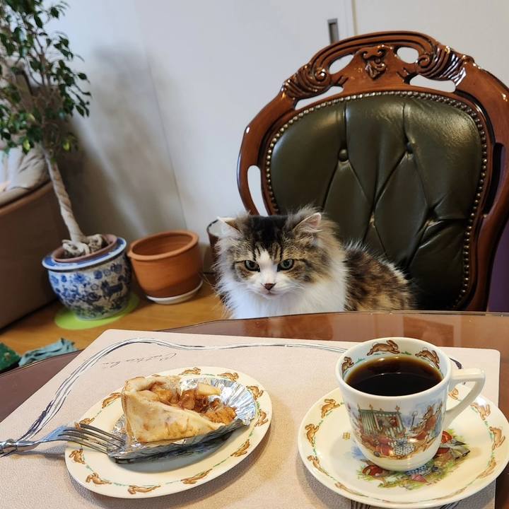 Ef421a02 220c 4acd ba26 41b5d4b2c8a5 1715611399934