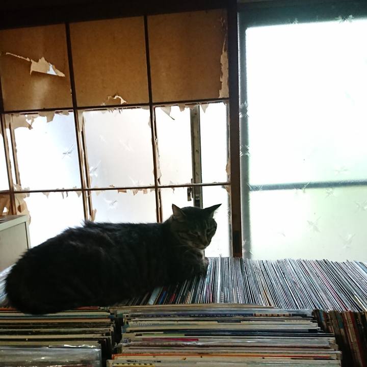 Ef42894c aeaf 4198 8715 07b062a5ee5f 1659497373732