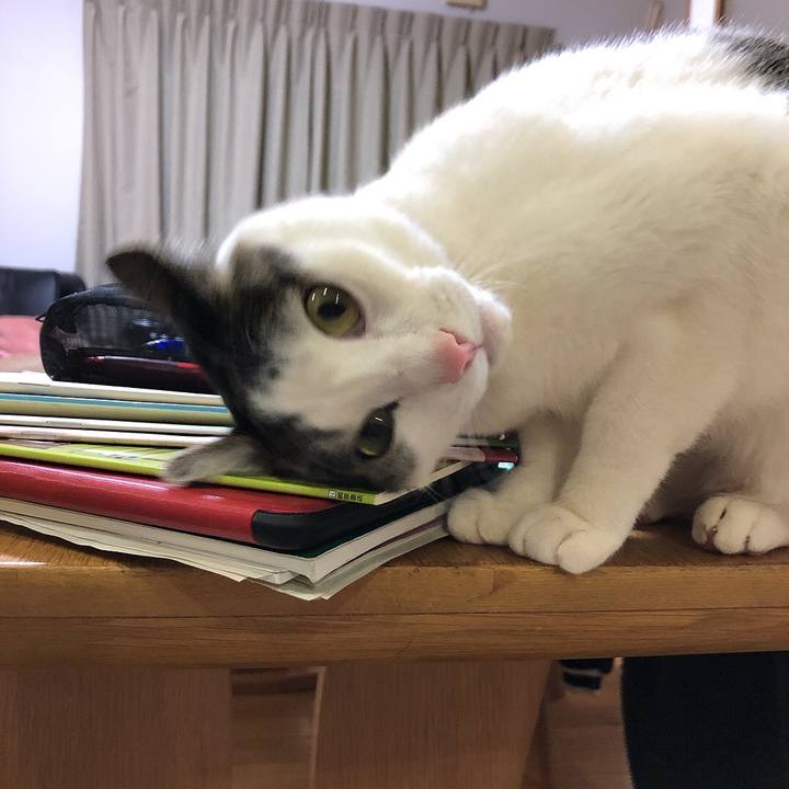 Ef42c740 a5d9 4bf8 99e8 308e584dfd11 1644670457373