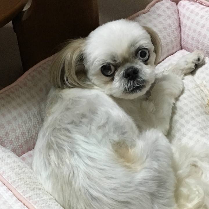 Ef42ecba f1af 4ec8 aa6f 8af2e15e6bee 1560036402144