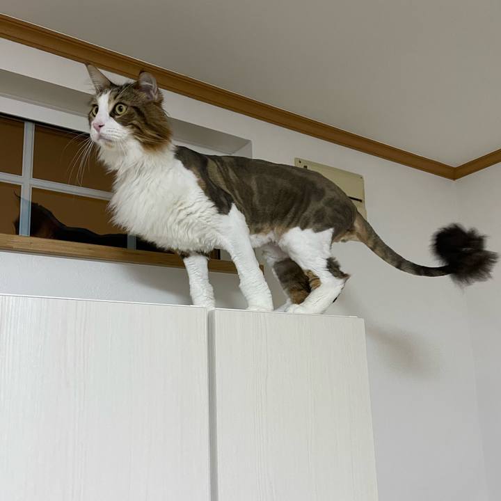 Ef42ee02 5197 4f0f 927f 35abe3aa9de2 1659008303753