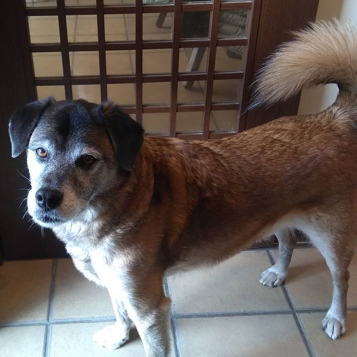 Ef430c56 1153 4adf 904a ed508fc1ea2b 1546909742224