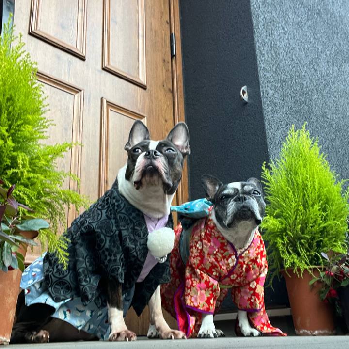 Ef43137a 86f9 429d b593 bc4c4779e502 1760685870235