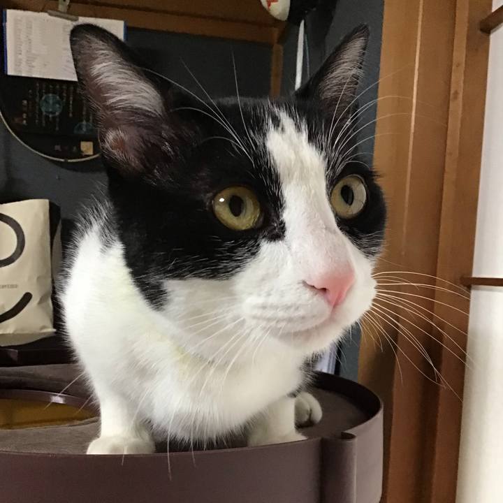 Ef43232c 632b 49b9 8988 6bc3412768fe 1652869686373