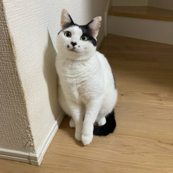 Ef432354 84a3 437e b09e 9780b0d7e27d 1759867800149