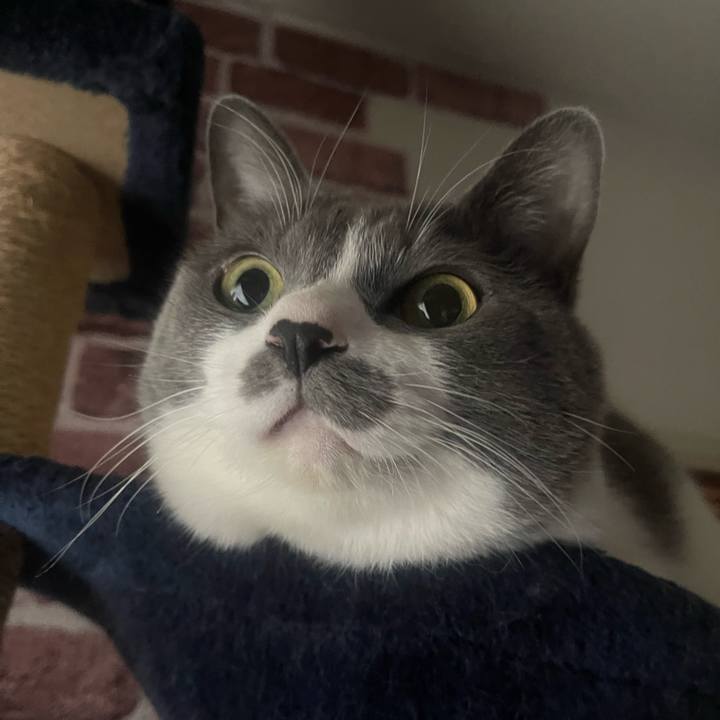 Ef433c7e b1d5 4329 9aea 457850dcd483 1735168568684