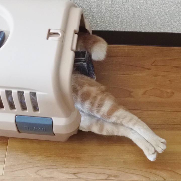 Ef435920 7eac 4e75 9828 7597f3f46003 1569761673447