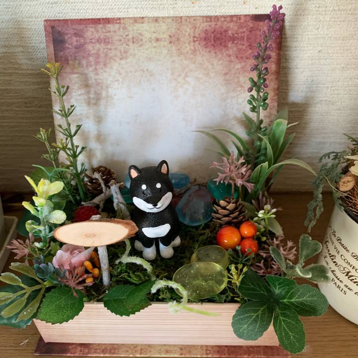 Ef437db5 942a 45ea b381 f3cfb6cbf4e1 1557616620356