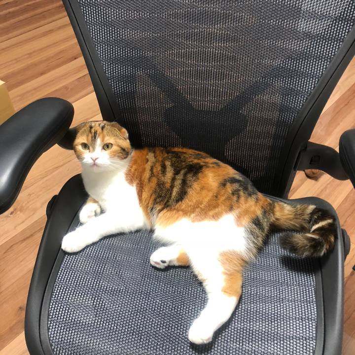 Ef43b9c6 a3c2 445e bcf7 a95c47d7818f 1531232718778