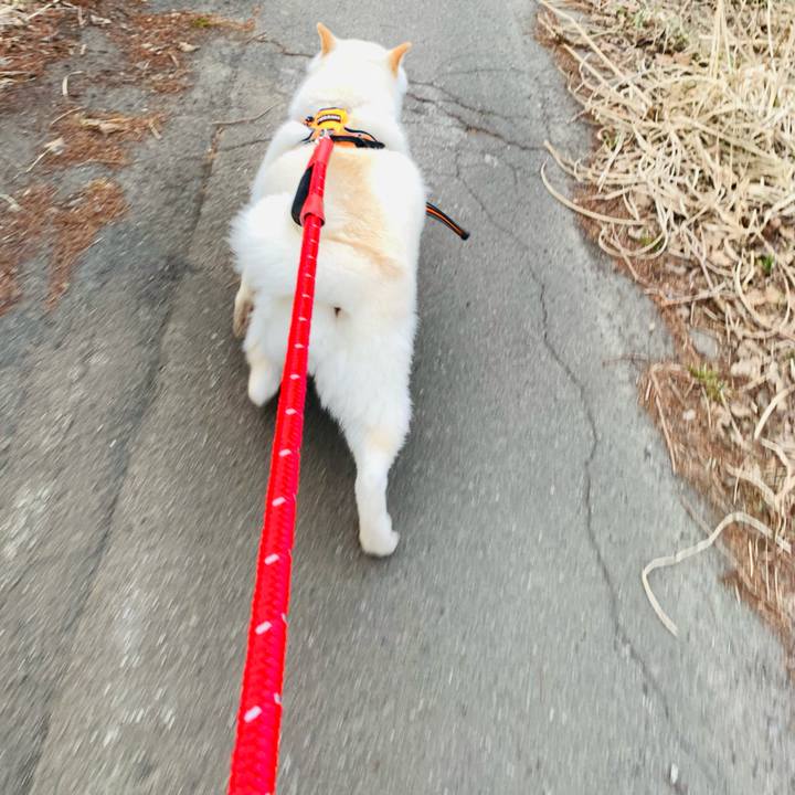 Ef43c11d 7124 4865 95f3 6afbdd2de36d 1649453733577