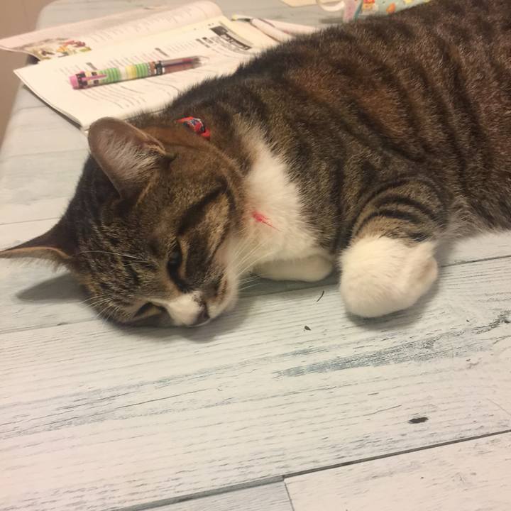 Ef441dec 3ee0 4e6e 89d1 69664c84238a 1561984367294