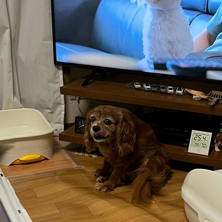 Ef443848 ac71 48ea 9c4e 34003b46c1f9 1757028360453