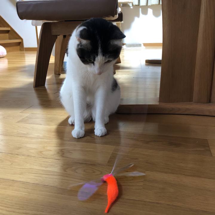 Ef443d81 1341 4c2d 89b5 fc74d865f36b 1631607894835