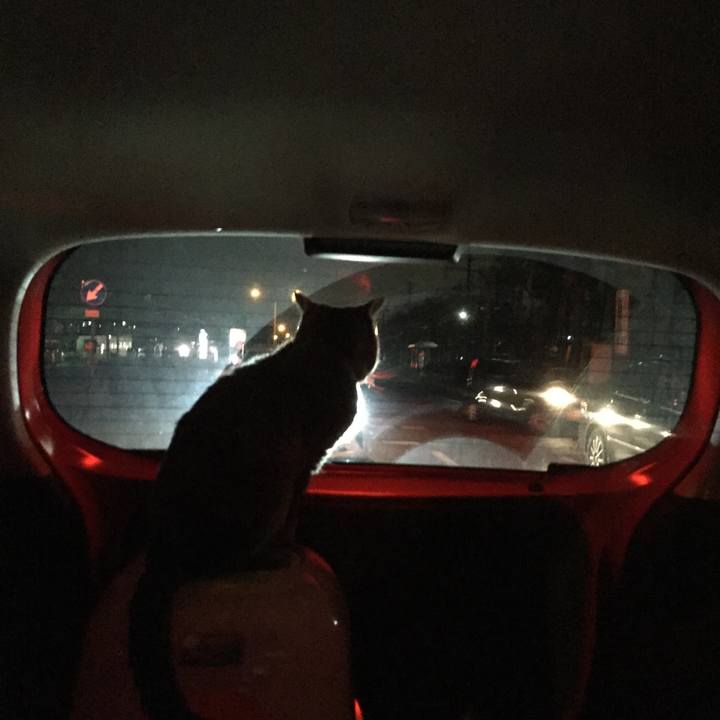 Ef44437d 8da8 44f0 bd86 2e1b393b3d5f 1541546357969