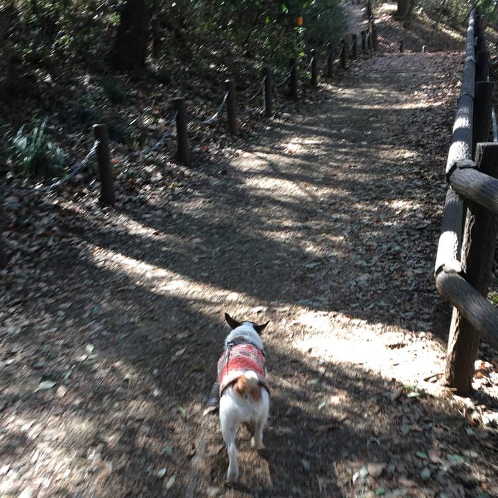 Ef444a46 15d8 4adc 9042 01e4d2c07540 1613086618317