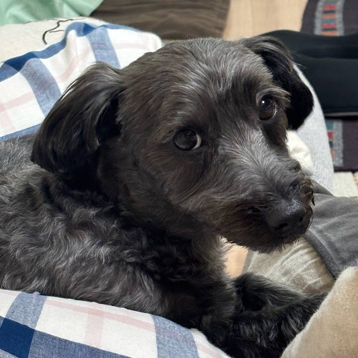 Ef445751 7955 40c9 b795 9b02723e44c5 1755695443923