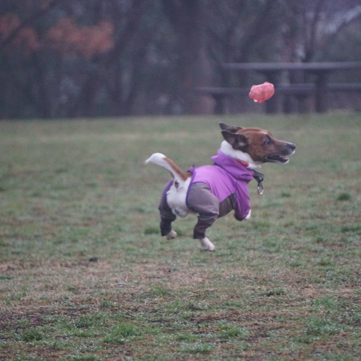 Ef4471e9 d65b 4beb 895f e1aa2fe58976 1583102329417