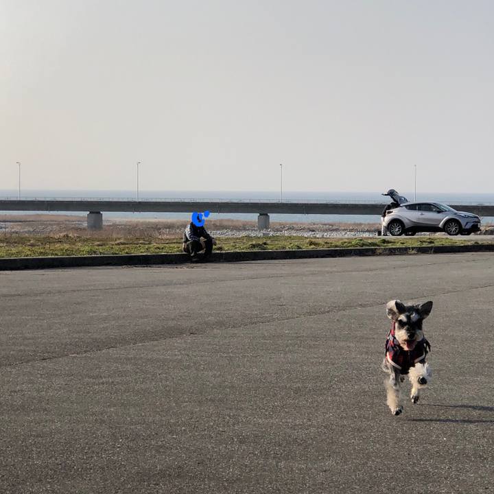 Ef447b41 29df 4ed1 8e08 a6ff799698e0 1647079621590