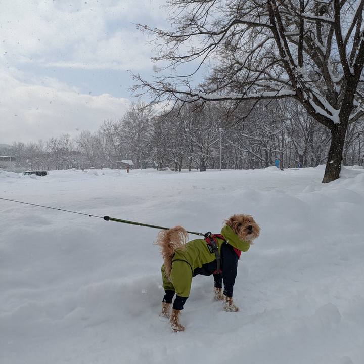 Ef447f4e cb31 4475 8c81 326c918c5473 1738478336999