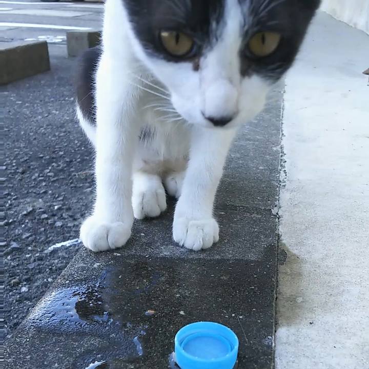 Ef44870d 904b 412f b806 31f30e8d46be 1534915050179