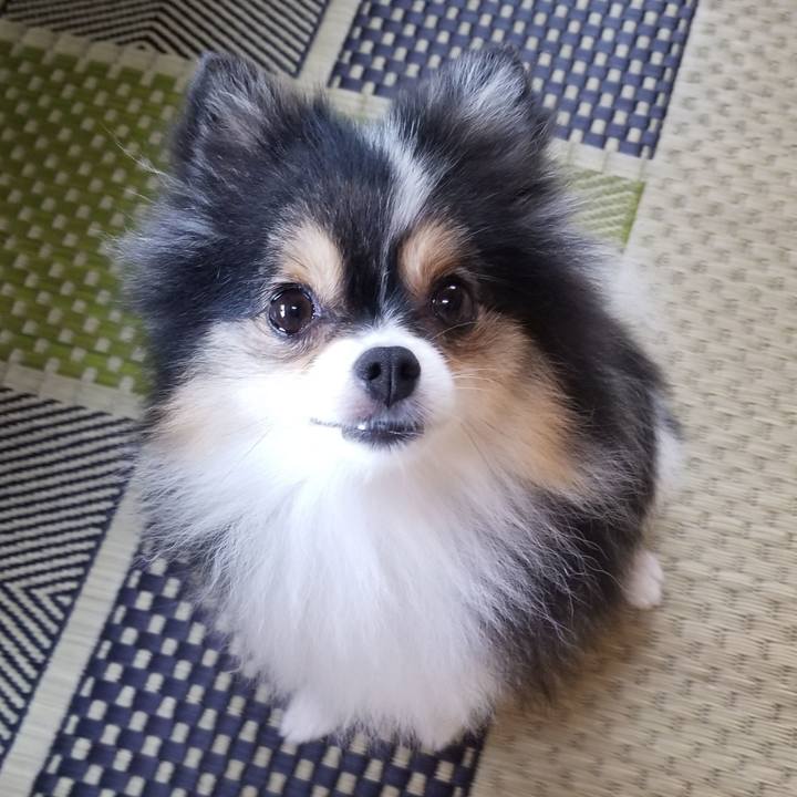 Ef44c9ea d68a 42dc bcc8 304f46e5ef6e 1533510303623