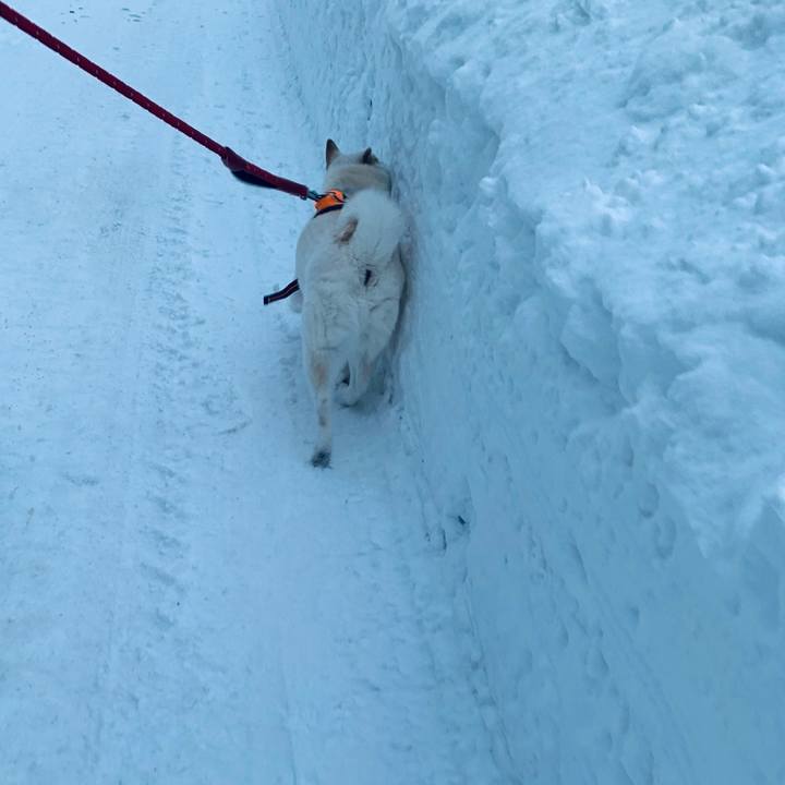 Ef453ac0 cca4 4e97 9133 4f2957b61f6a 1676586869805