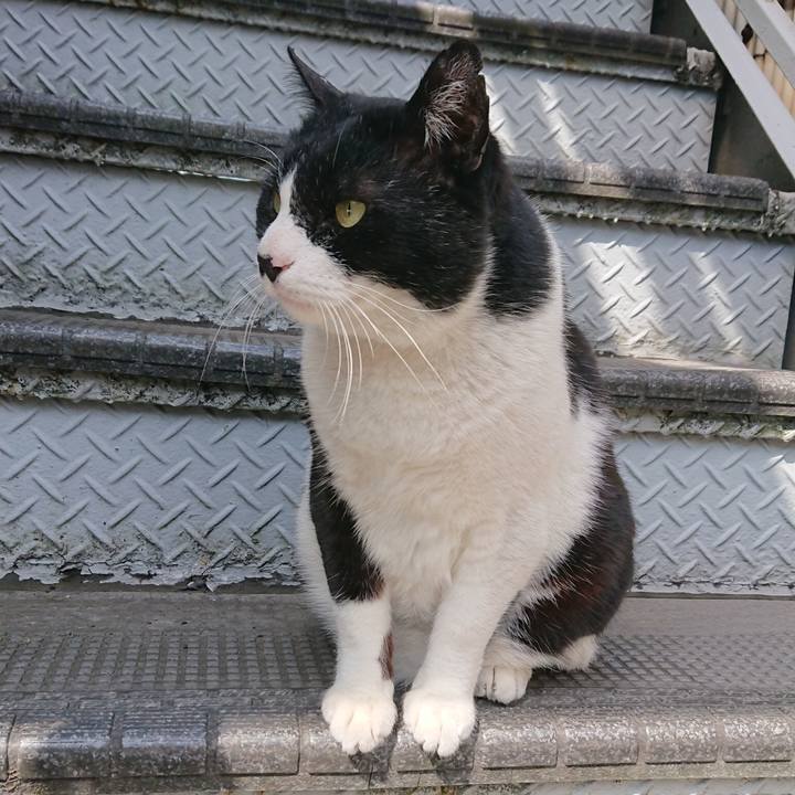 Ef454bff cc1a 46fc b370 d52dc4883b57 1553508876671