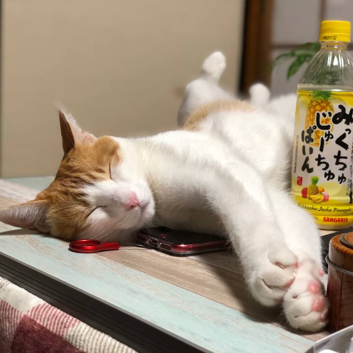 Ef4555ac beaf 4813 8daf 5d1679b677a6 1540038760372