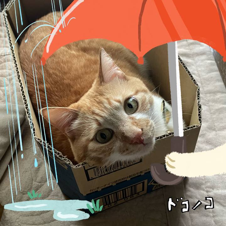 Ef455a02 ddb3 485c 9935 1147f217ea4c 1749527220422