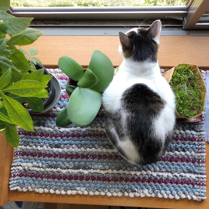 Ef45b28c c4f3 463d acae a3723ac26578 1677547428098