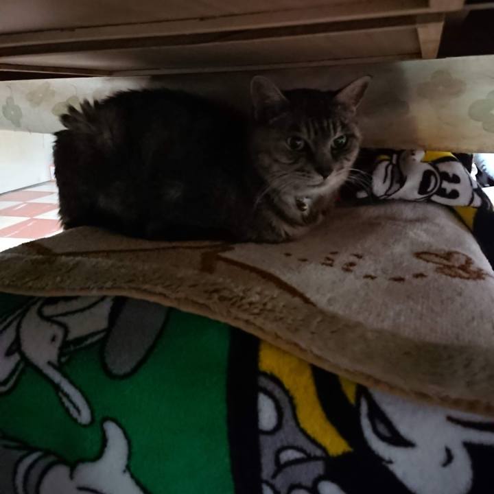 Ef45c904 d5b3 4bdb 97bc ac4c06dcf566 1603396215638