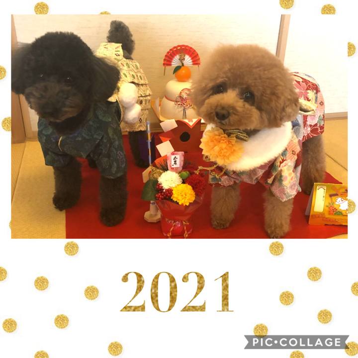 Ef45cbcc 9f3a 4c8b 931f 15e7bb9d21c9 1609454723858