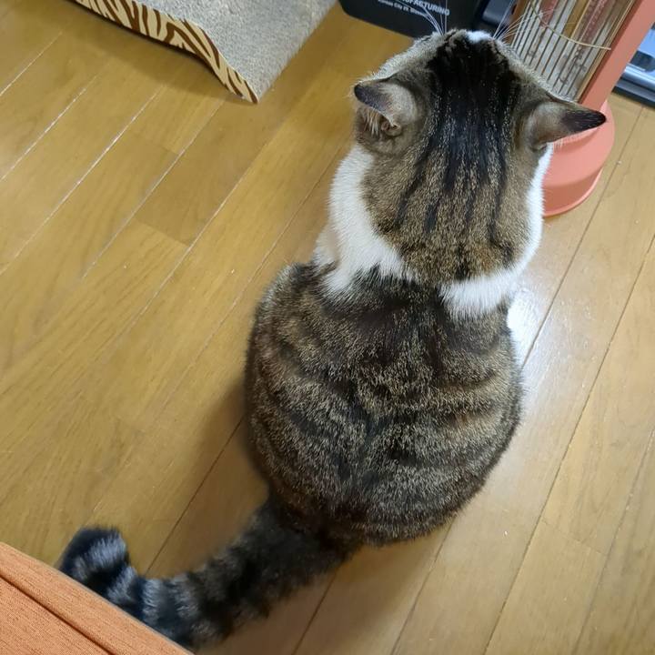 Ef45d908 a34a 4d74 9b4d c32f19dd274e 1670932281226