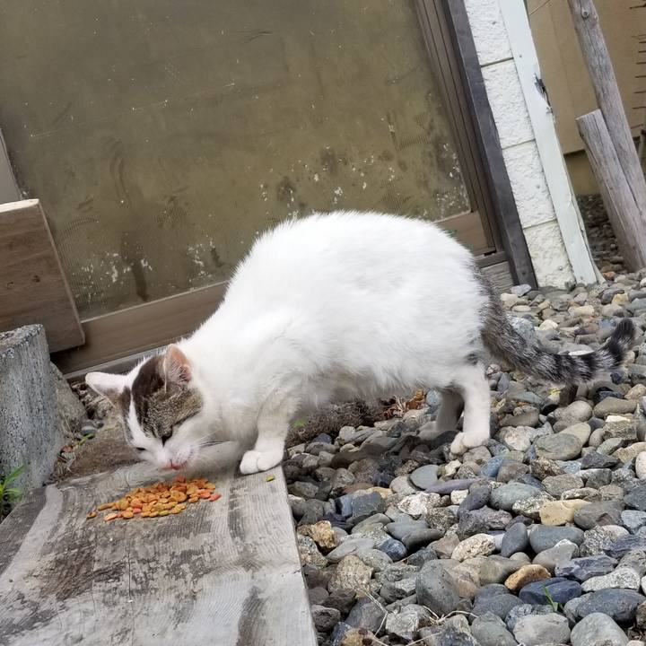 Ef4627cb 4b83 4e43 a5ce 9b9627a72b0c 1560093856616