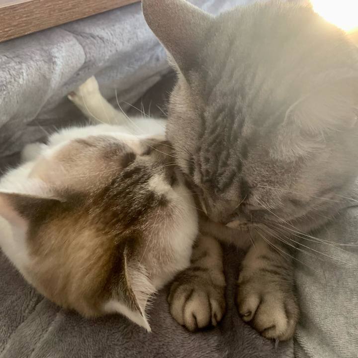 Ef4636bb 578a 4551 8f42 77aeafde7eab 1671336727053