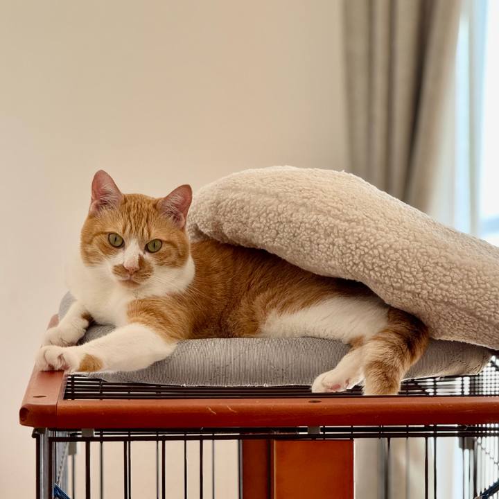 Ef463d33 1b5a 474f 9f47 e59ff774d805 1759461398496