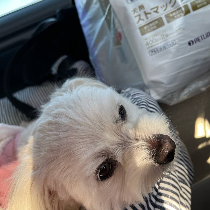 Ef4641c5 8398 4d99 af23 ffe127c22aa0 1676522885276