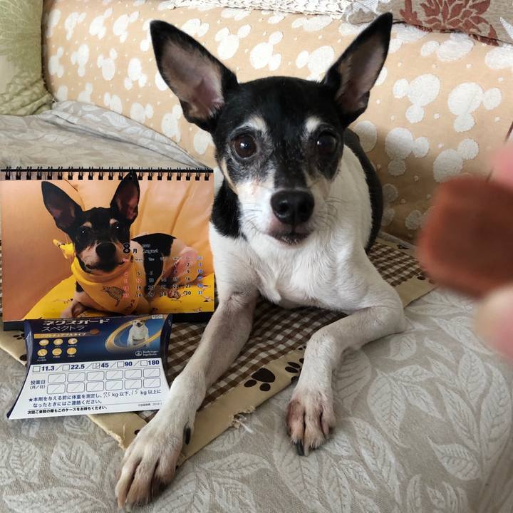 Ef464710 14ed 469d 91ed 97a56bff984b 1564614895986