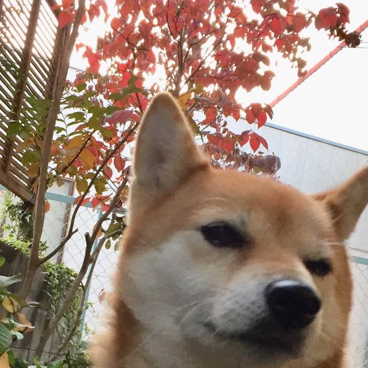 Ef465e7f feae 4f21 a40e 59a30a72ca0b 1511705285102