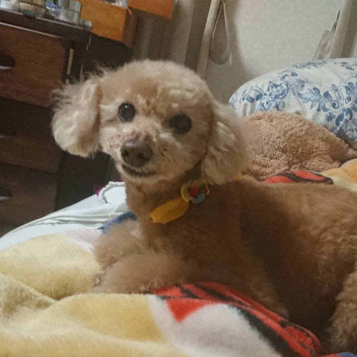 Ef467d92 5fbb 425f aa83 4d505d58f778 1615677568279