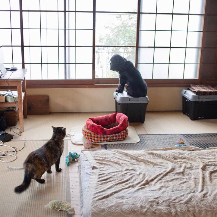 Ef46872c 496f 4b5c 96b6 6ec59c44733d 1575074015384