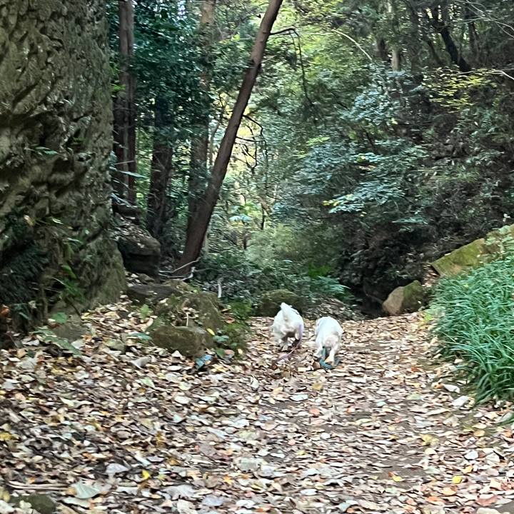 Ef468ad4 a169 44b0 b75a 2d2ed04580a6 1763961610539