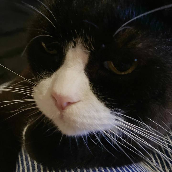 Ef479e0e 6f96 4a73 888f c54ed04b373a 1595251044477