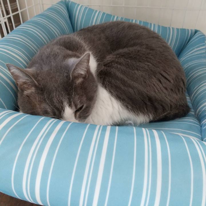 Ef47a0e8 2a02 4f4c b422 91cb8245e160 1645758485381